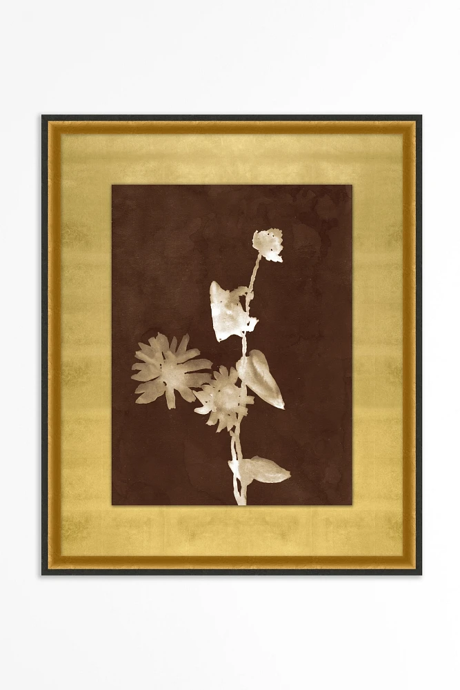 Botanist Study Wall Art