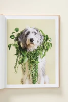 Cone of Shame Dog Hardcover Book