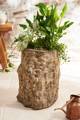 Dion Cast Stone Planter