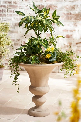 Patara Cast Stone Urn
