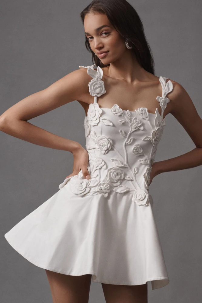 BHLDN Floral Appliqué Fit-and-Flare Mini Dress