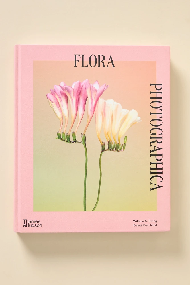 Flora Photographica: The Flower in Contemporary Photography