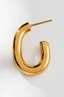 Oval Huggie Hoop Earrings