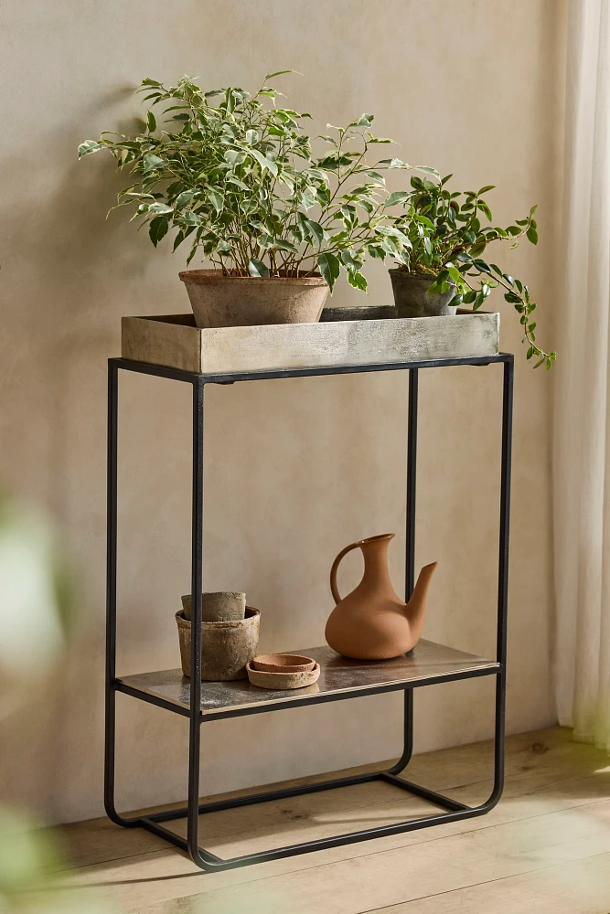 Two-Tier Silver Trough Plant Stand