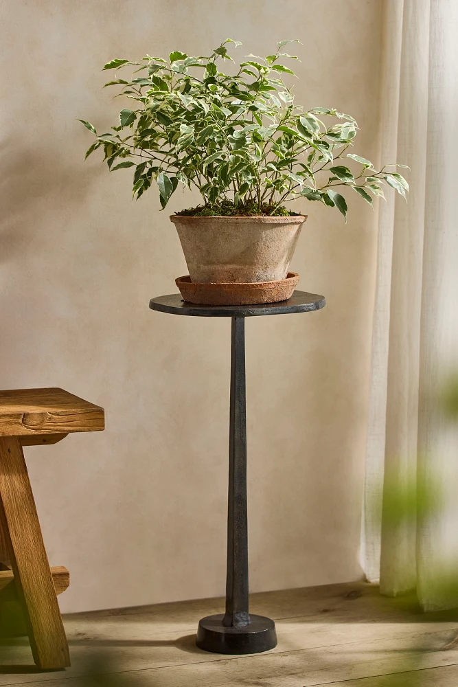 Black Pedestal Plant Stand