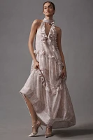 BHLDN High-Neck Ruffle Printed Organza Maxi Dress