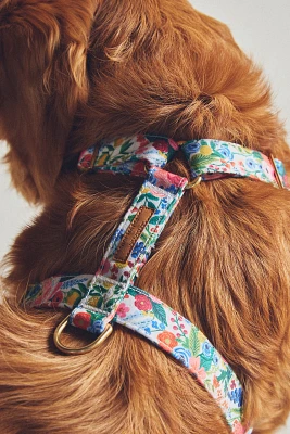 Rifle Paper Co. x The Foggy Dog Garden Party Harness