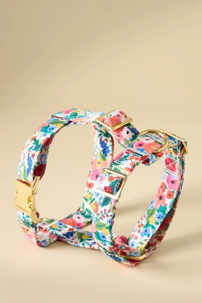 Rifle Paper Co. x The Foggy Dog Garden Party Harness