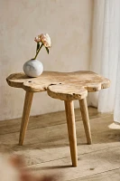 Teak Root Slice Side Table