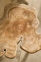 Teak Root Slice Side Table
