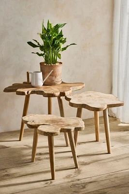 Teak Root Slice Side Table