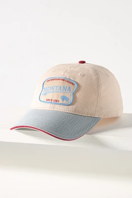 Coney Island Picnic States Baseball Cap