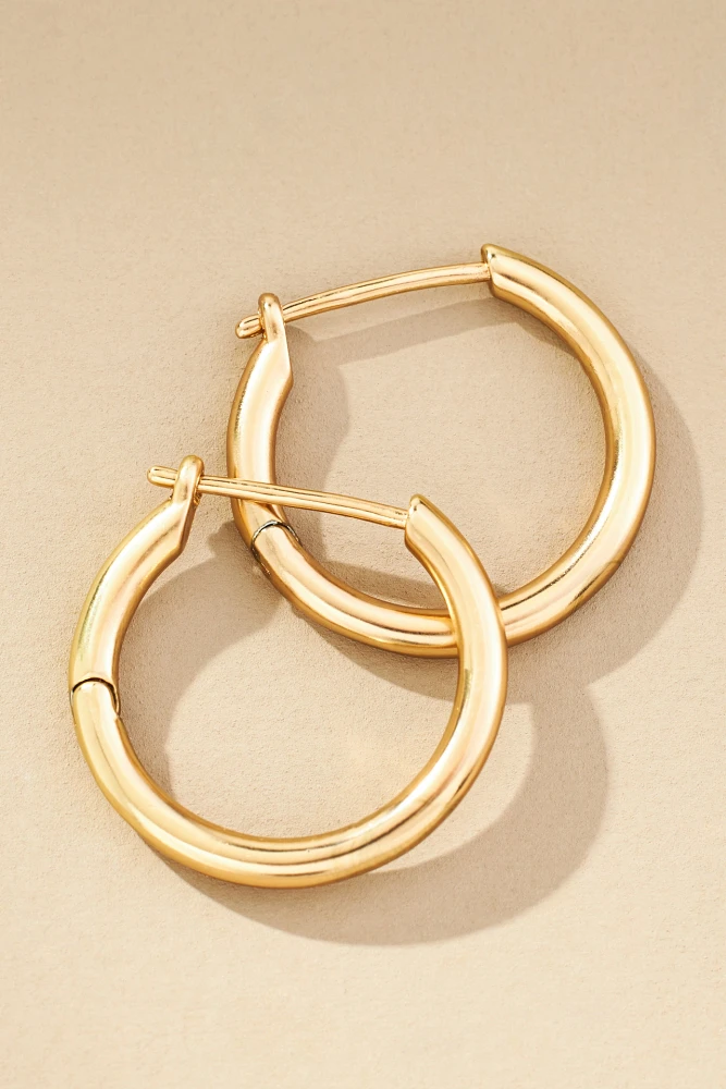 Small Hoop Earrings