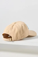 Conversational Baseball Cap