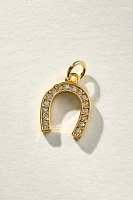 Lucky Horseshoe Jewelry Charm