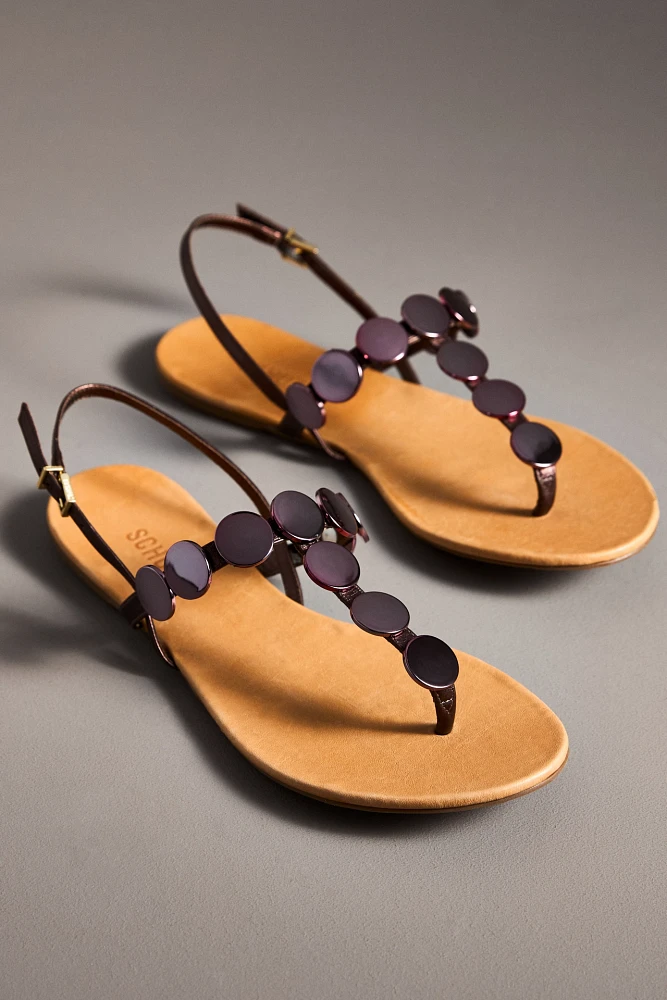 Schutz Acacia Thong Sandals