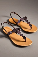 Schutz Acacia Thong Sandals