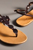 Schutz Acacia Thong Sandals