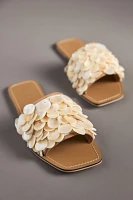 Coconuts by Matisse Waverly Shell Slide Sandals
