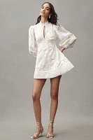 BHLDN Long-Sleeve High-Neck Floral A-Line Mini Dress