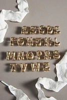 Monogram Charm Shoe Laces