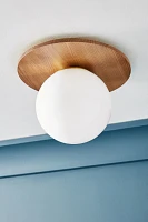 Tanner Globe Flush Mount