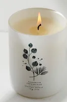 Free People Eucalyptus + Siberian Pine Candle