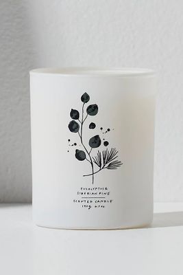 Free People Eucalyptus + Siberian Pine Candle by Free People, Eucalyptus + Siberian Pine, One Size