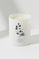 Free People Eucalyptus + Siberian Pine Candle