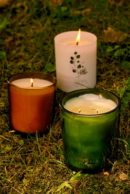 Free People Eucalyptus + Siberian Pine Candle