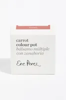 Ere Perez Carrot Colour Pots