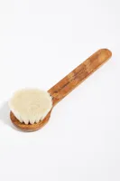 Province Apothecary Dry Brush