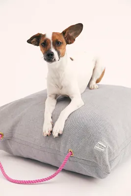 Free People X Found Denim Dog Bed