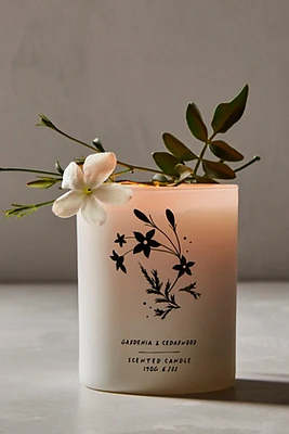 Free People Gardenia + Cedarwood Candle