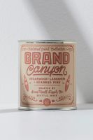Good & Well National Parks Candle by Supply Co. at Free People, One