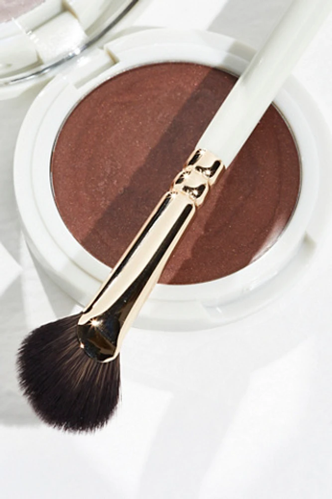 Jillian Dempsey Mini Fan Brush