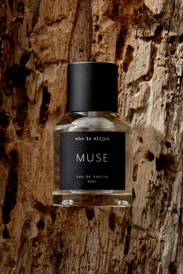 who is elijah Muse Perfume