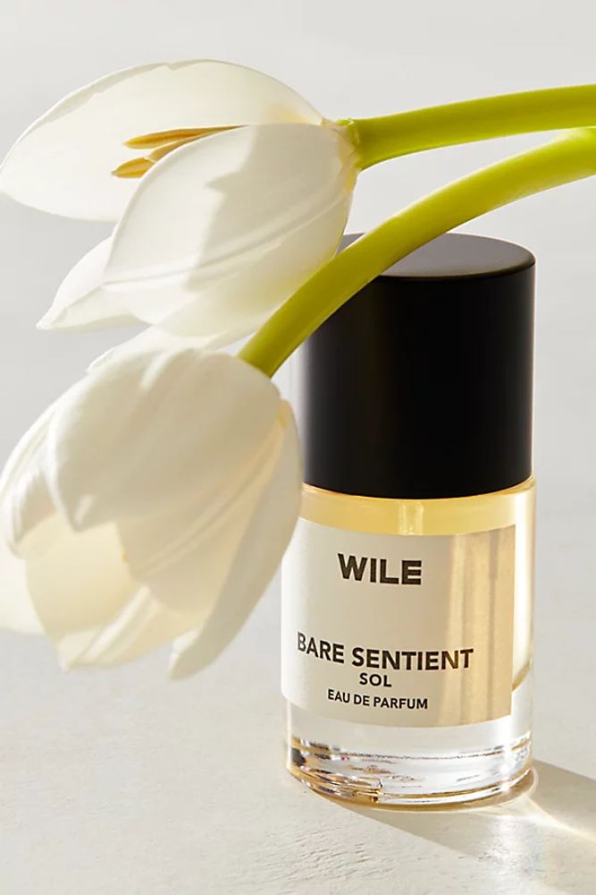 Wile Bare Sentient Sol Eau De Parfum by Wile at Free People, One, One Size