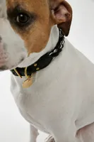 Found My Animal Multi-Twist Rope Dog Collar