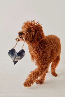 Found My Animal Heart Strings Pull Toy by at Free People, One