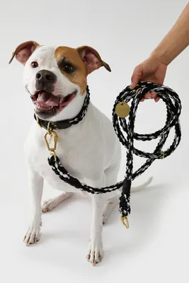 Found My Animal Multi-Twist Rope Dog Leash