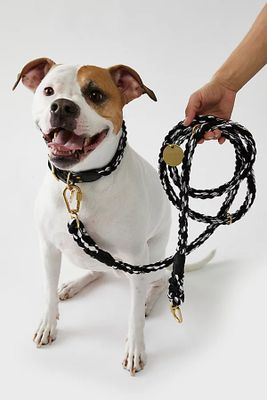 Found My Animal Multi-Twist Rope Dog Leash by at Free People, Combo, One