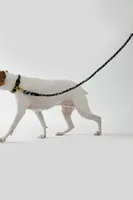 Found My Animal Multi-Twist Rope Dog Leash