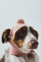 Maxbone Feather Dog Balaclava