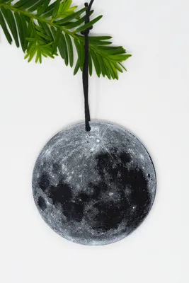 Plexi Silkscreen Full Moon Ornament