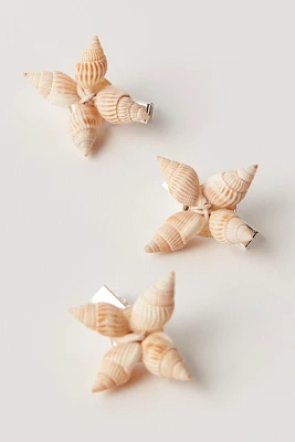 Shell Adornments 3-Pack