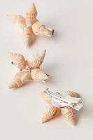 Shell Adornments 3-Pack