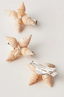 Shell Adornments 3-Pack