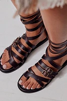 Vanadia Gladiator Sandals