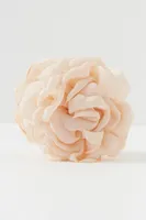 Rose Soft Claw